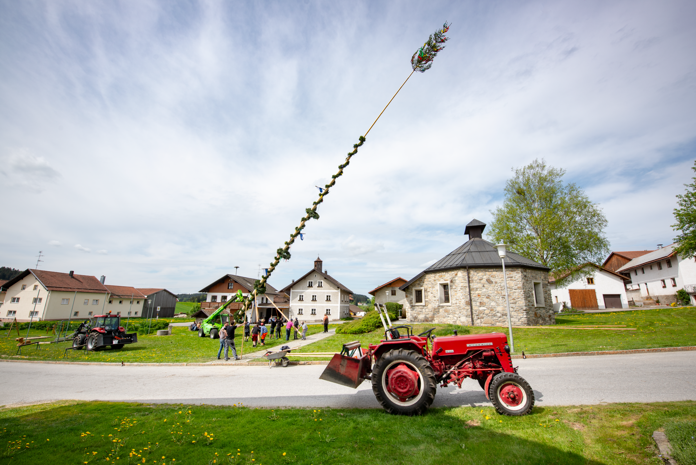 Maibaum auf einem Dorfplatz